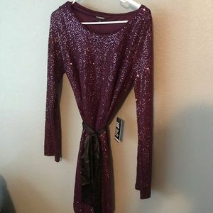 Express sparkle Dress
